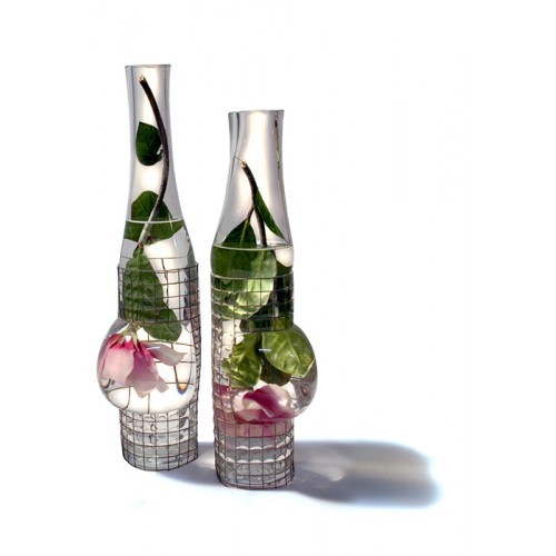 Aquarius Bouteille/Bottle