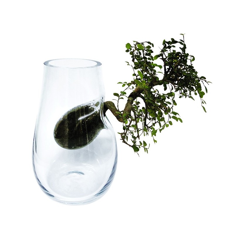 Tree Vase
