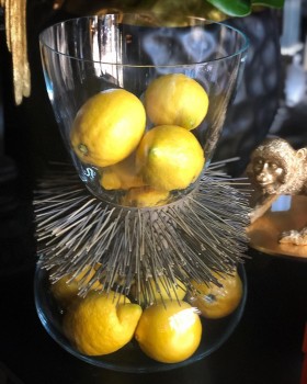Vase Spike