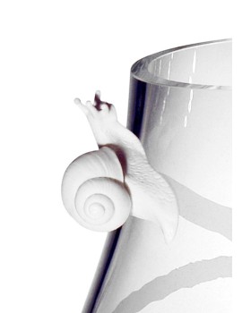 Vase Snail