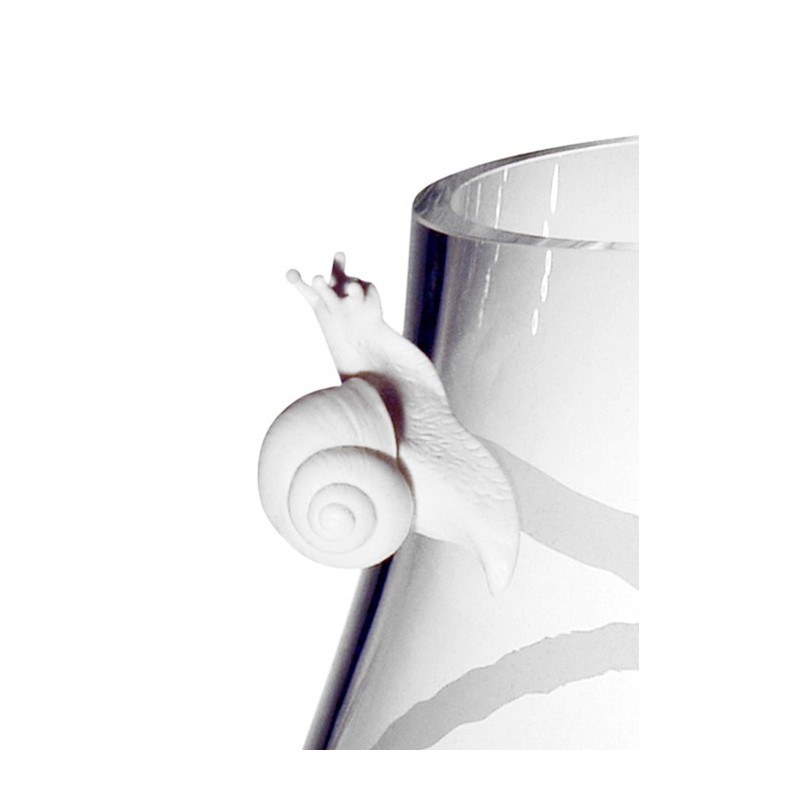 Vase Snail