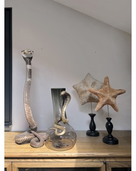 COBRA