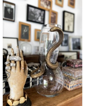 COBRA