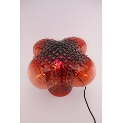 Lot 25